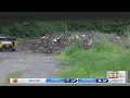 Yard Waste Pile Up