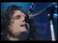 Robbie Nevil Live  "C'est La Vie" on Top of the pops 1987