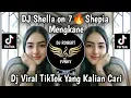 Download Lagu DJ CEK SOUND SHEPIA SHELLA ON 7 BASS BLEYER TRAP X PARTY