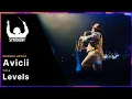 Download Lagu SYNTHONY - Avicii 'Levels' (Live at Spark Arena 2024) | ProShot 4K