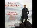 Piano Sonata No. 14 in C-Sharp Minor, Op. 27 No. 2 “Moonlight”: III. Presto Agitato