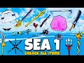 I Unlocked EVERY Item in Blox Fruits First Sea Swords Guns Accessories