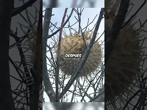¡Fotos INCREÍBLES de momentos RAROS de la naturaleza! #datoscuriosos