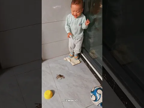 अरे बाप रे कोई इस मकड़ी से बचाओ 😳 #Catsoftiktok #CatLovers #cat #cute #FunnyCats #catcartoon