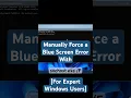 Force a BSOD in Windows Quick Safe