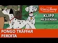 Download Lagu Pongo träffar Perdita | Pongo och de 101 dalmatinerna | Disneyklassiker Sverige