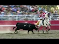 Tradition of Portuguese Bloodless Bullfighting Endures in Central Valley