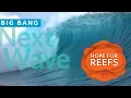 2022 Big Bang Gala Highlights California Academy of Sciences
