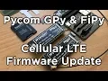 How to Update Firmware on Pycom GPy FiPy Cellular LTE