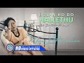 Download Lagu Mona Latumahina - HOLAN HO DO HALLETHU | Lagu Batak  (Official Music Video)