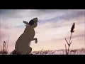 Watership Down - Bright Eyes (Art Garfunkel) 432hz