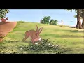 Watership Down - Bright Eyes (Art Garfunkel) 432hz