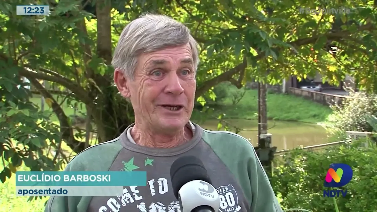 Sem Bisnagueiras: Corupá incentiva corte de árvores tóxicas para animais