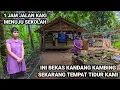 Download Lagu KAGET BERTEMU IBU DAN ANAK TINGGAL DI BEKAS KANDANG KAMBING PINGGIR HUTAN