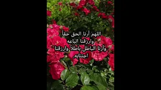 اللهم أرنا الحق حقا وارزقنا اتباعه وأرنا الباطل باطلا وارزقنا اجتنابه تکرار20مرات 