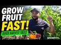 Stop Waiting 5 Years Grow These 7 Fast Fruit Trees
