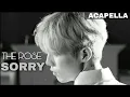 Download Lagu The Rose 'Sorry' Clean Acapella