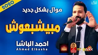 موال احمد الباشا   مبيشبعوش        حزينة جدا   موال النجوم      دندنها