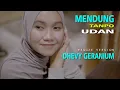 Download Lagu MENDUNG TANPO UDAN - DHEVY GERANIUM ( COVER REGGAE VERSION )
