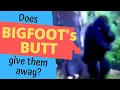 3 Bigfoot sightings Comparable to The Patterson Footage - Analysis