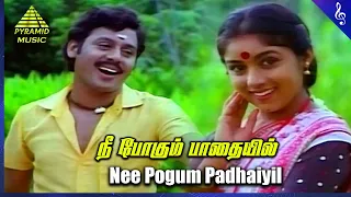 nee pogum padhaiyil video song gramatthu minnal movie songs ramarajan revathi ilaiyaraaja