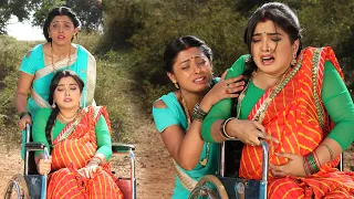 Amrapali Dubey का सबसे शानदार मूवी सीन जिसे देखकर हर किसी का कलेजा काँप जायेगा 😢 Best Scene 2026