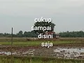 Download Lagu cinta terhalang oleh mertua