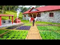 Lagu TIMELAPSE – 1 Year of Building Dream House a Farm with a complete Wooden House and Vegetable Garden