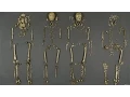 Jamestown Settlers Identified After 400 Years