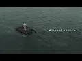 NF - PANDEMONIUM (Audio)