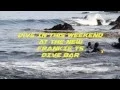 S I N NIGHT at Frankie Ts DIVE BAR Tuesday Night