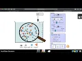 Acid Base Solutions Phet Lab Walkthrough