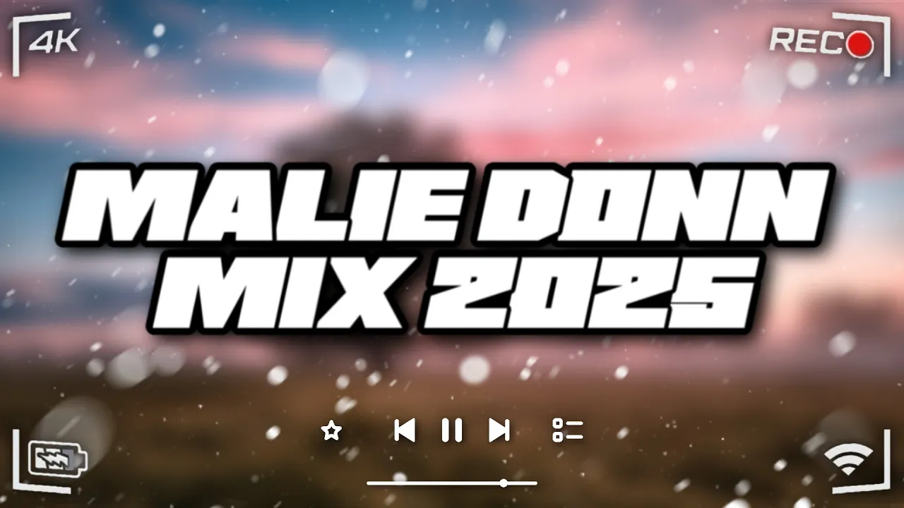 Malie Donn Mix 2025 - King Effect | Dancehall Mix 2025 | 7:00, Suspect, Body Tea Malie Donn Mix 2025 - King Effect | Dancehall Mix 2025 | 7:00, Suspect, Body Tea