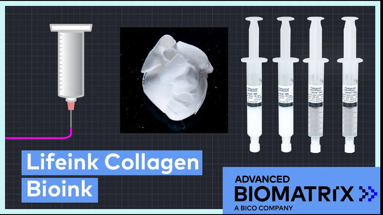 Lifeink Collagen Bioinks for 3D Bioprinting