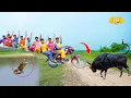 Lagu 2 Ziddi Bow Best Comedy Video 😂Top New Comedy 2025 Episode 361 By Bidik Fun Tv