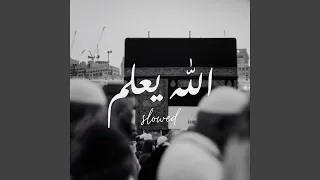 الله يعلم   النسخة المبطئة            دندنها