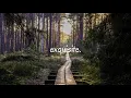 Linkin Park - In The End (Brohm Cover Remix) | exquisite.