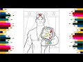 John Cena Coloring Page You Can t See Me How to Color WWE Superstar