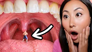 Things You’ll Wish You NEVER Knew! (Zack D Films)