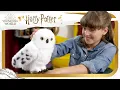 Download Lagu Unlock magical experiences with Enchanting Hedwig! Harry Potter Wizarding World
