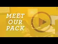 Hollywood Feed Corporate Team