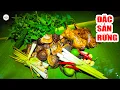 Download Lagu Rừng Mà Ăn Toàn Đặc Sản Giữa Bao La Đại Ngàn Rừng Già ✧ Suối Bản Tv