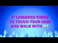 Summer Wind - Frank Sinatra (Karaoke Version)