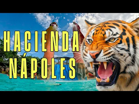 Tour Hacienda Nápoles: toboganes, animales salvajes y dinosaurios