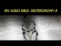 DEUTERONOMY 8 NIV BIBLE with text