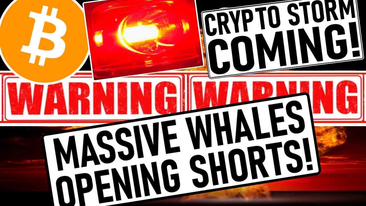CRYPTO STORM COMING! WHALES OPEN MASSIVE BITCOIN SHORTS! ELON MUSK DUMPS THE MARKET AGAIN!