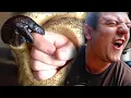 PAINFUL PYTHON BITE BRIAN BARCZYK
