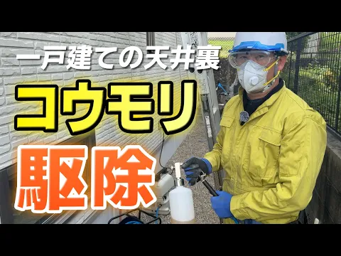 ★経験豊富な有資格者が対応☆コウモリの追出し☆糞の清掃除菌☆再侵入防止☆低価格