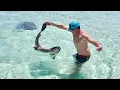 Out of Control Sharks on a Remote tropical Island and all the Seafood we could Catch Clean and Cook