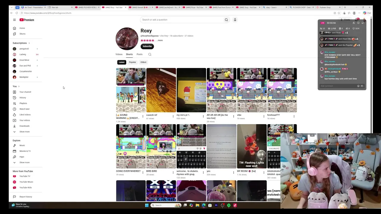 PUSHEEN ROBLOX TIME